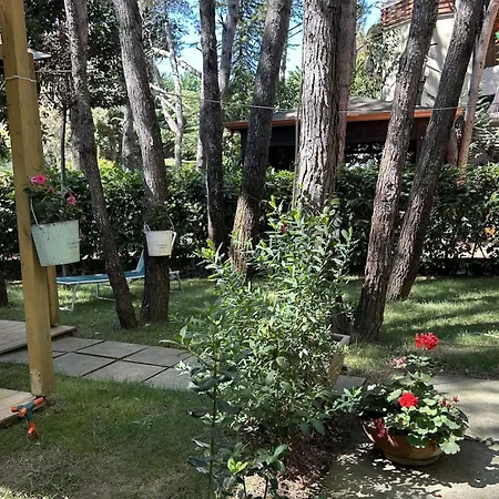 Seaside Garden Oasis * Golem (Tirana)