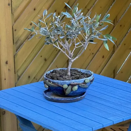 Appartement Seaside Garden Oasis *