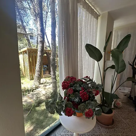 Seaside Garden Oasis *