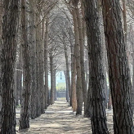 Seaside Garden Oasis Golem (Tirana)